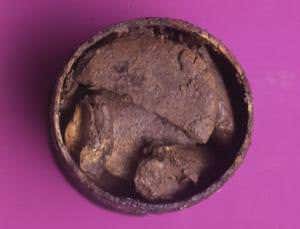 New Scientist. Science news and long reads from expert journalists, covering developments in science, technology, health and the environment on the website and the magazine.