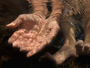 New Scientist. Science news and long reads from expert journalists, covering developments in science, technology, health and the environment on the website and the magazine.