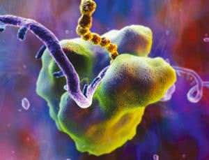 Nanomachine mimics nature's protein factory