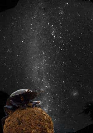 New Scientist. Science news and long reads from expert journalists, covering developments in science, technology, health and the environment on the website and the magazine.