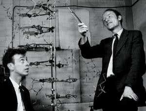 Epigenetics: Discovery