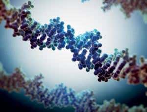 Epigenetics: A ubiquitous phenomenon