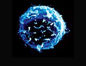 Epigenetics: Far-reaching effects