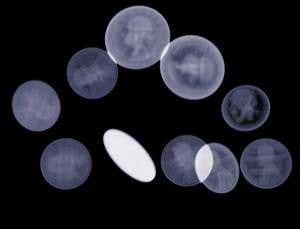 New Scientist. Science news and long reads from expert journalists, covering developments in science, technology, health and the environment on the website and the magazine.