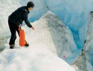 New Scientist. Science news and long reads from expert journalists, covering developments in science, technology, health and the environment on the website and the magazine.