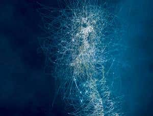 New Scientist. Science news and long reads from expert journalists, covering developments in science, technology, health and the environment on the website and the magazine.