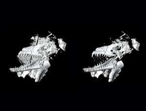 3D print a fossil with virtual palaeontology