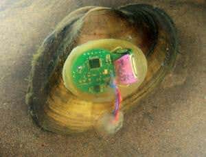 New Scientist. Science news and long reads from expert journalists, covering developments in science, technology, health and the environment on the website and the magazine.