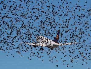 New Scientist. Science news and long reads from expert journalists, covering developments in science, technology, health and the environment on the website and the magazine.