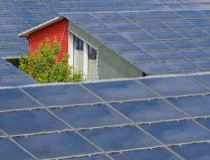 Photosynthesis: The emergence of quantum biology