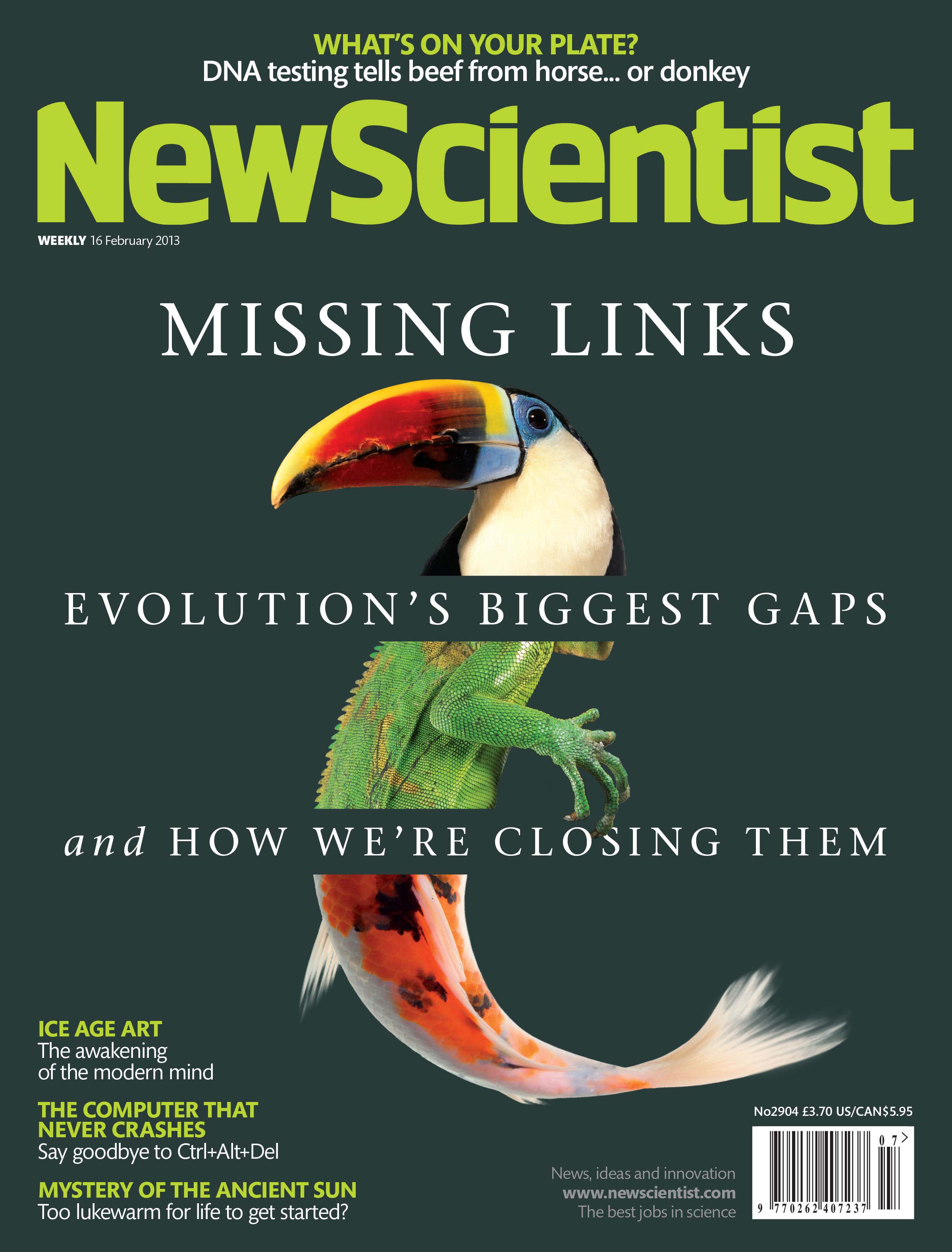 New Scientist issue 2904 cover