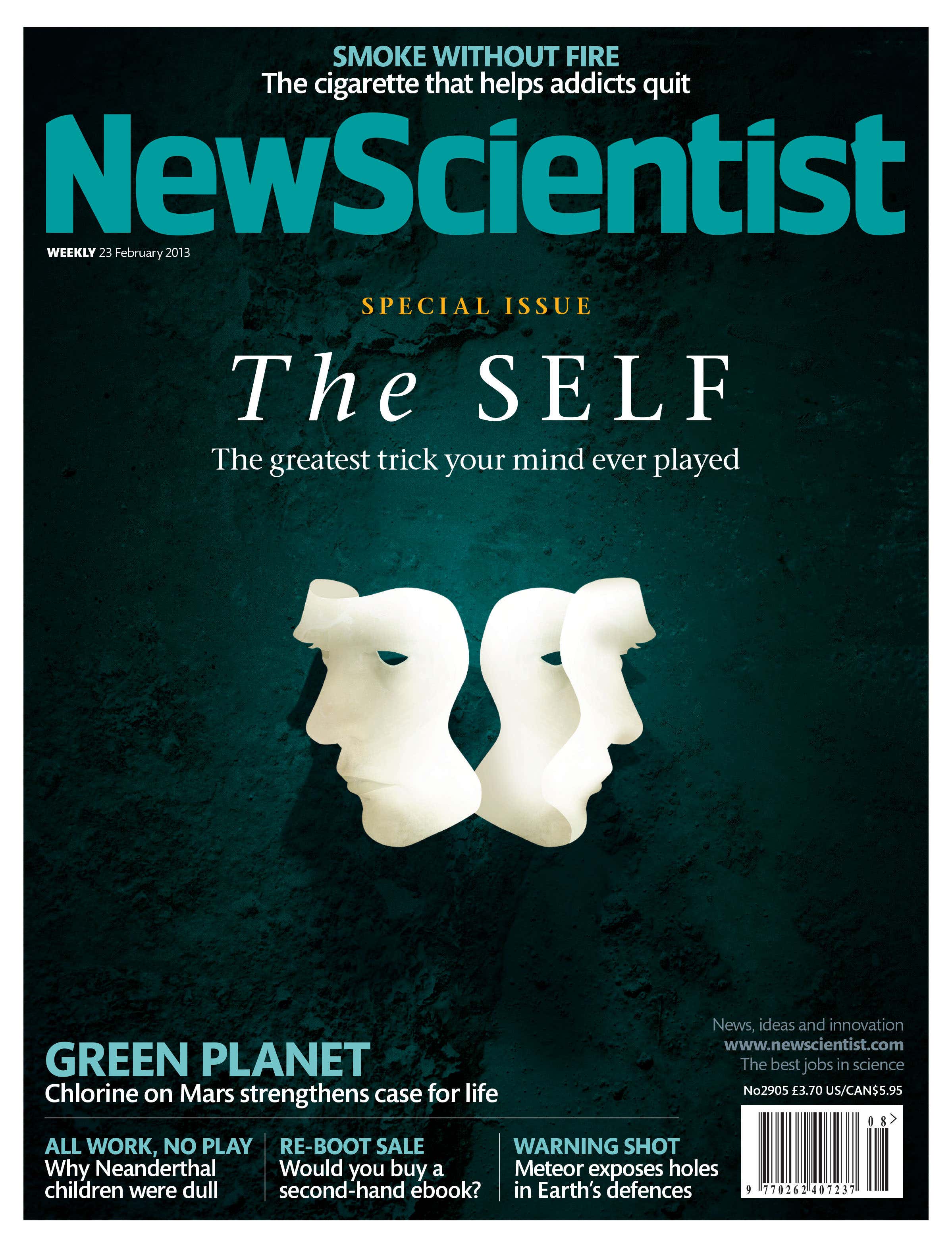 New Scientist issue 2905 cover
