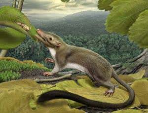 New Scientist. Science news and long reads from expert journalists, covering developments in science, technology, health and the environment on the website and the magazine.