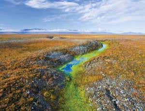 New Scientist. Science news and long reads from expert journalists, covering developments in science, technology, health and the environment on the website and the magazine.