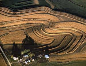 New Scientist. Science news and long reads from expert journalists, covering developments in science, technology, health and the environment on the website and the magazine.