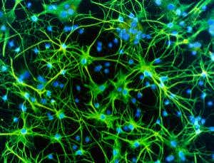 Mind maths: Small world with big connections