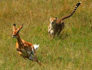 New Scientist. Science news and long reads from expert journalists, covering developments in science, technology, health and the environment on the website and the magazine.