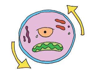 Feedback: What makes cells despondent?