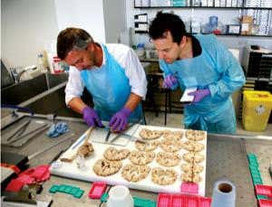 New Scientist. Science news and long reads from expert journalists, covering developments in science, technology, health and the environment on the website and the magazine.