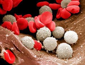 New Scientist. Science news and long reads from expert journalists, covering developments in science, technology, health and the environment on the website and the magazine.