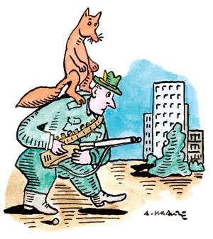 Culling urban foxes just doesn't work