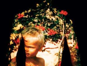 The self: You think you live in the present?