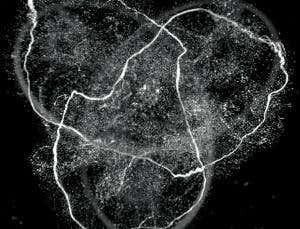 New Scientist. Science news and long reads from expert journalists, covering developments in science, technology, health and the environment on the website and the magazine.