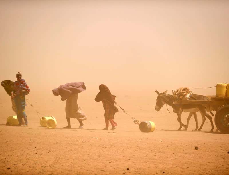 New Scientist. Science news and long reads from expert journalists, covering developments in science, technology, health and the environment on the website and the magazine.