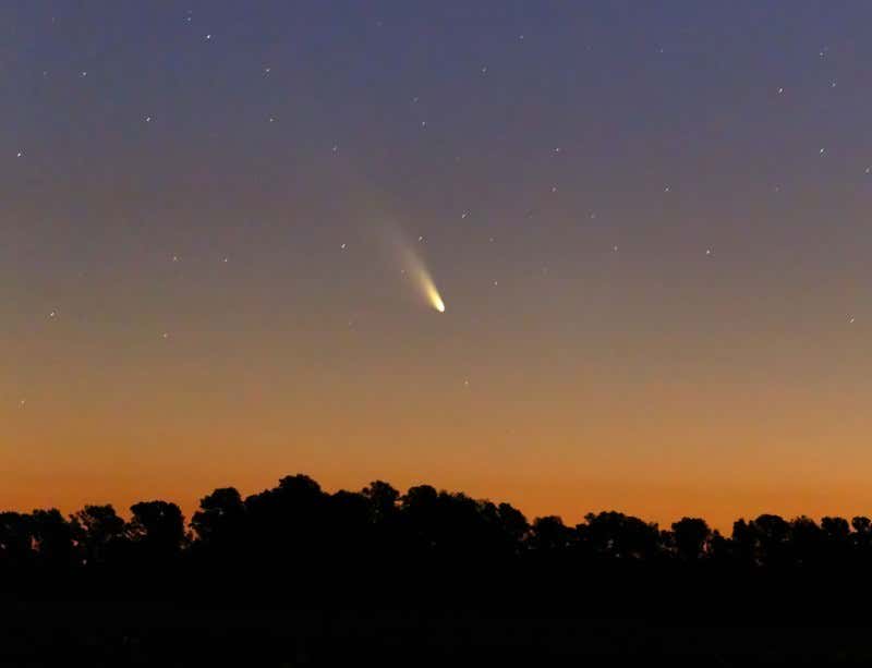New Scientist. Science news and long reads from expert journalists, covering developments in science, technology, health and the environment on the website and the magazine.