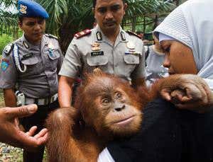 New Scientist. Science news and long reads from expert journalists, covering developments in science, technology, health and the environment on the website and the magazine.