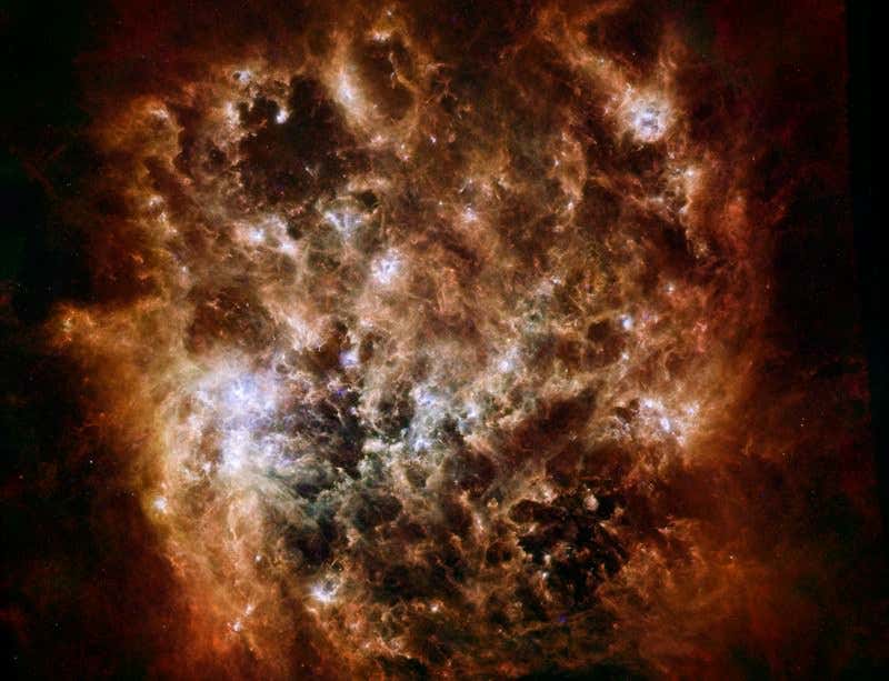 New Scientist. Science news and long reads from expert journalists, covering developments in science, technology, health and the environment on the website and the magazine.