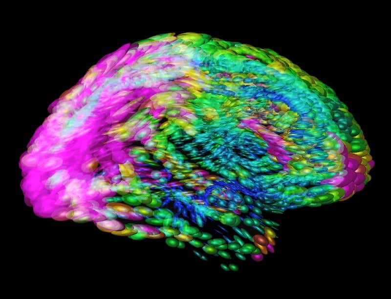 New Scientist. Science news and long reads from expert journalists, covering developments in science, technology, health and the environment on the website and the magazine.