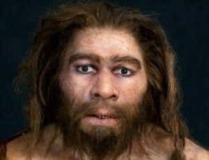 Neanderthals may have swapped social lives for big eyes