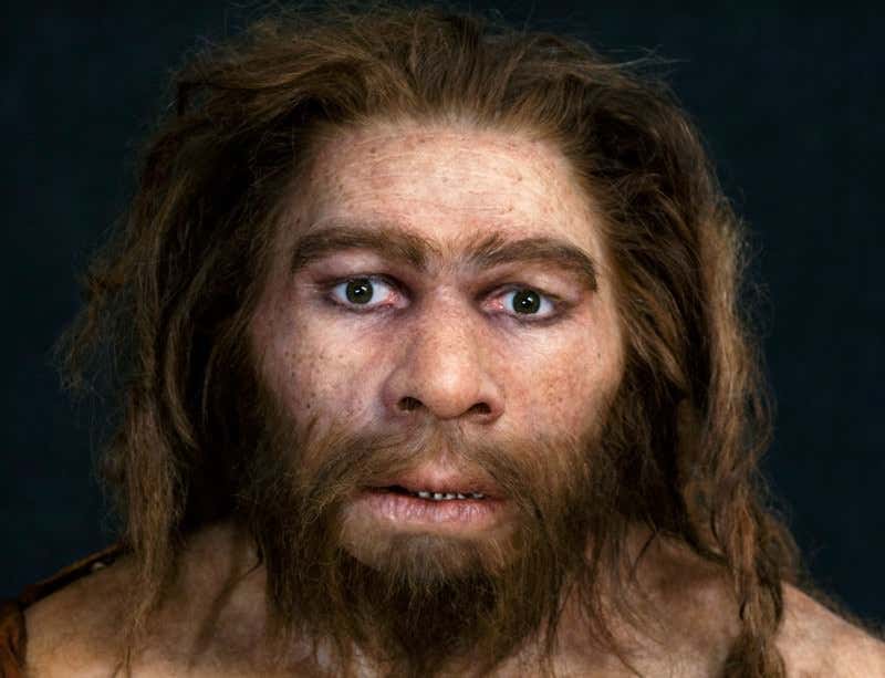 New Scientist. Science news and long reads from expert journalists, covering developments in science, technology, health and the environment on the website and the magazine.