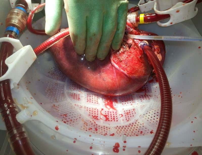 New Scientist. Science news and long reads from expert journalists, covering developments in science, technology, health and the environment on the website and the magazine.