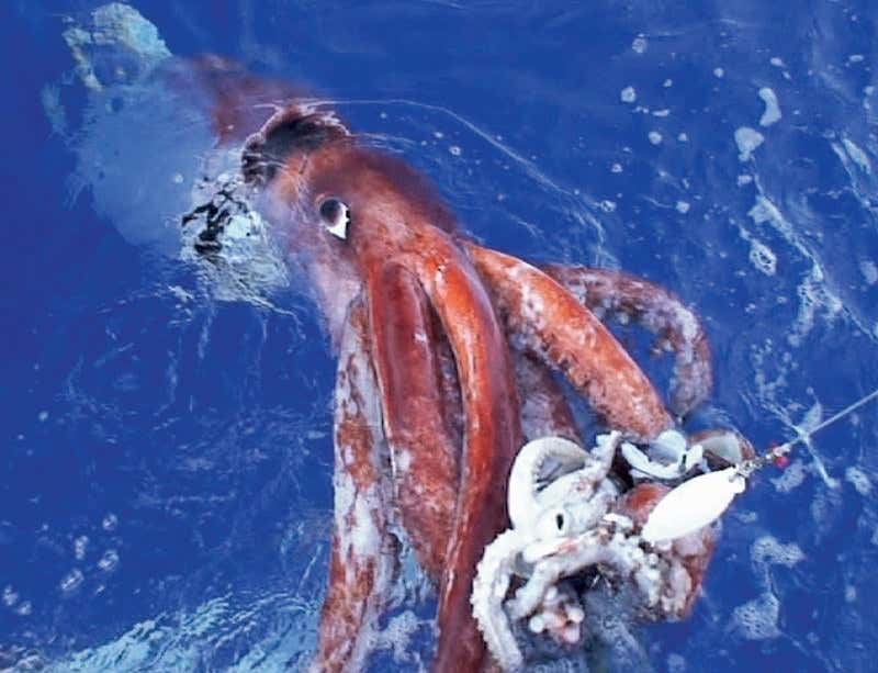 New Scientist. Science news and long reads from expert journalists, covering developments in science, technology, health and the environment on the website and the magazine.