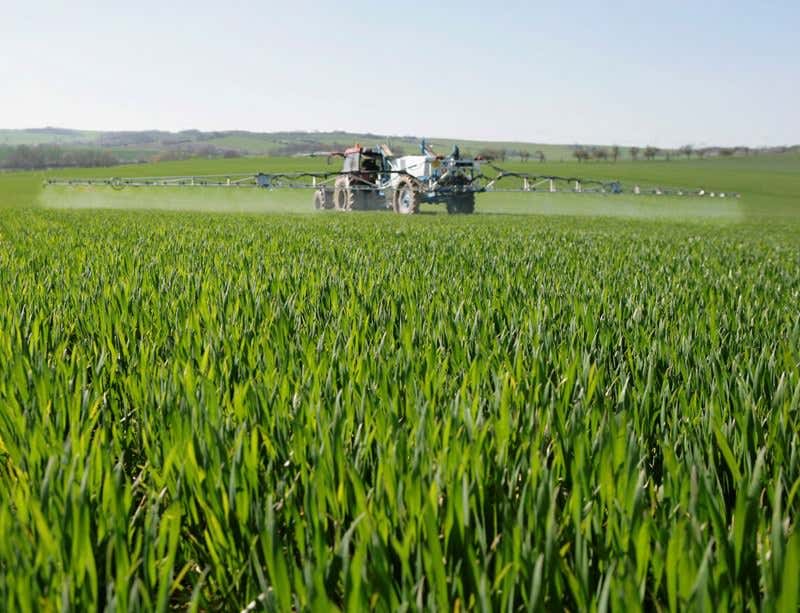 New Scientist. Science news and long reads from expert journalists, covering developments in science, technology, health and the environment on the website and the magazine.