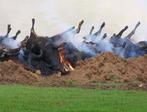 New Scientist. Science news and long reads from expert journalists, covering developments in science, technology, health and the environment on the website and the magazine.