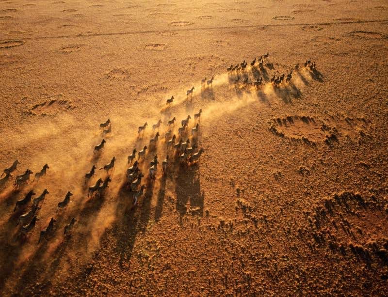 New Scientist. Science news and long reads from expert journalists, covering developments in science, technology, health and the environment on the website and the magazine.