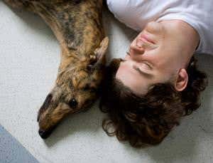 Old dog tricks: The survival of the friendliest