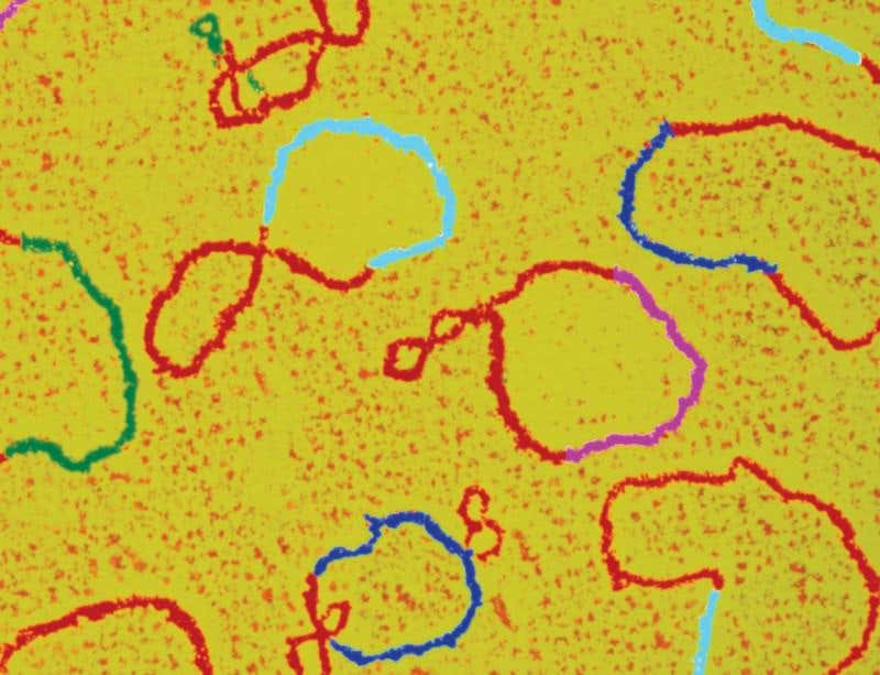 New Scientist. Science news and long reads from expert journalists, covering developments in science, technology, health and the environment on the website and the magazine.