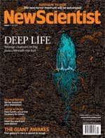 New Scientist issue 2914 cover