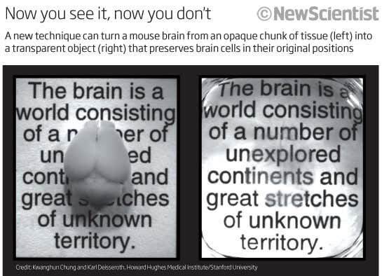 New Scientist. Science news and long reads from expert journalists, covering developments in science, technology, health and the environment on the website and the magazine.
