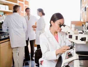 PhDs and MDs team up to tackle cancer