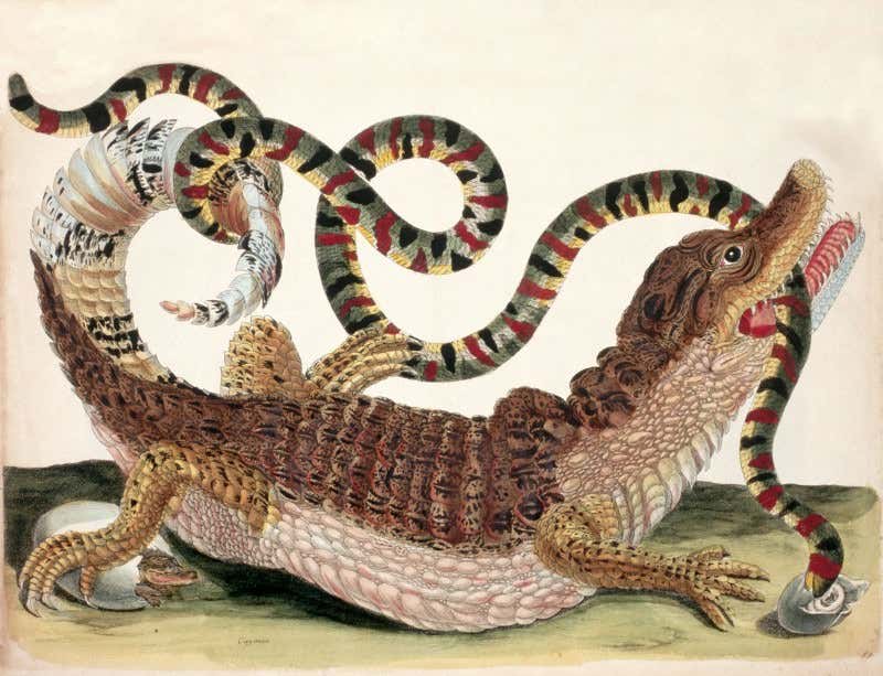 New Scientist. Science news and long reads from expert journalists, covering developments in science, technology, health and the environment on the website and the magazine.