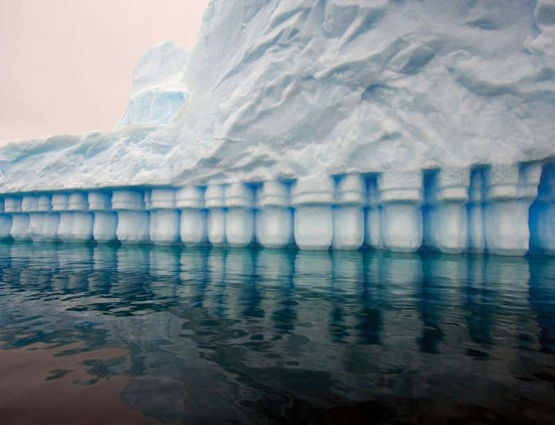 New Scientist. Science news and long reads from expert journalists, covering developments in science, technology, health and the environment on the website and the magazine.