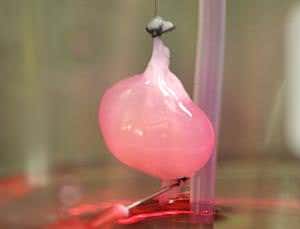 New Scientist. Science news and long reads from expert journalists, covering developments in science, technology, health and the environment on the website and the magazine.