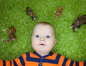 Emerging consciousness glimpsed in babies