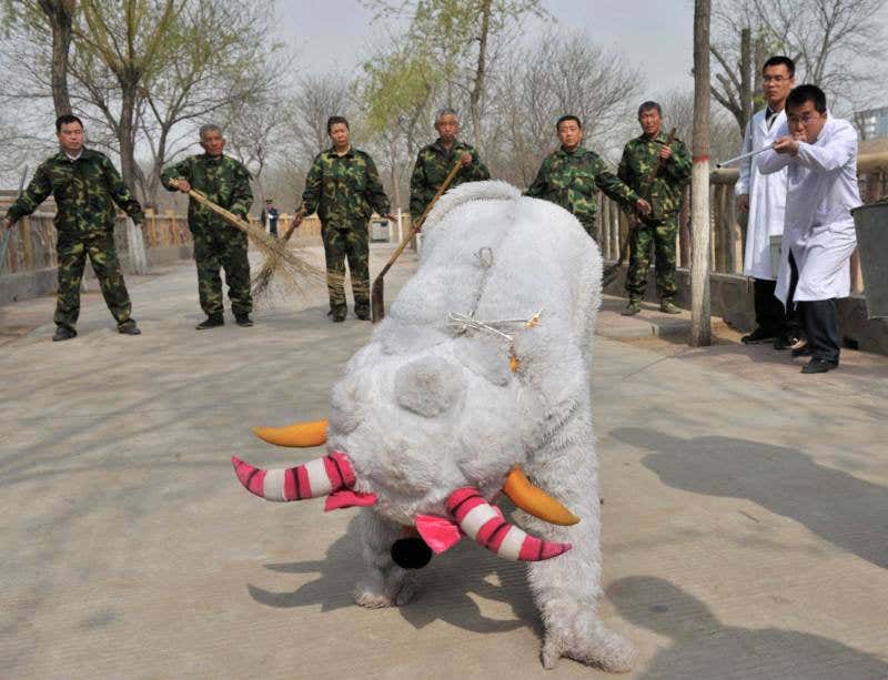 New Scientist. Science news and long reads from expert journalists, covering developments in science, technology, health and the environment on the website and the magazine.