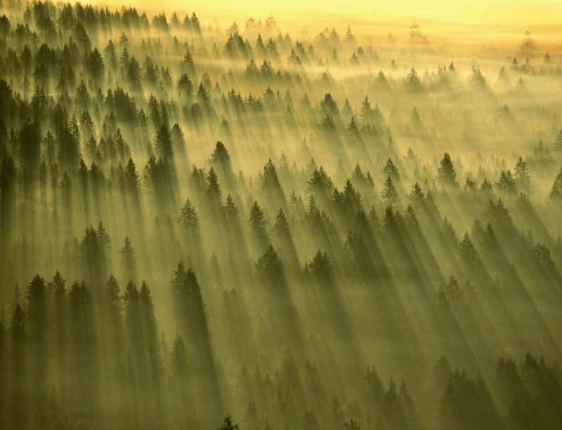 New Scientist. Science news and long reads from expert journalists, covering developments in science, technology, health and the environment on the website and the magazine.